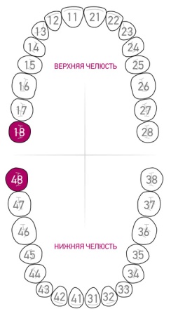 Кламп для коффердама Dentech (Япония) 139